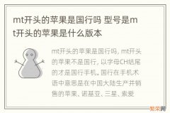 mt开头的苹果是国行吗 型号是mt开头的苹果是什么版本