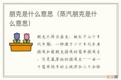 蒸汽朋克是什么意思 朋克是什么意思