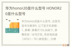 华为honor20是什么型号 HONOR20是什么型号