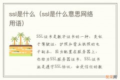 ssl是什么意思网络用语 ssl是什么