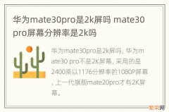 华为mate30pro是2k屏吗 mate30pro屏幕分辨率是2k吗