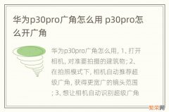 华为p30pro广角怎么用 p30pro怎么开广角