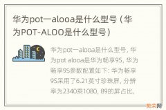 华为POT-ALOO是什么型号 华为pot一alooa是什么型号