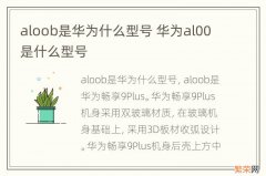 aloob是华为什么型号 华为al00是什么型号