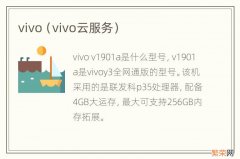 vivo云服务 vivo