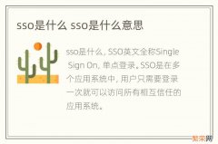 sso是什么 sso是什么意思