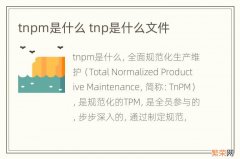 tnpm是什么 tnp是什么文件