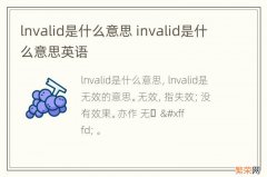 lnvalid是什么意思 invalid是什么意思英语