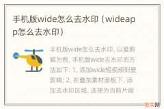 wideapp怎么去水印 手机版wide怎么去水印