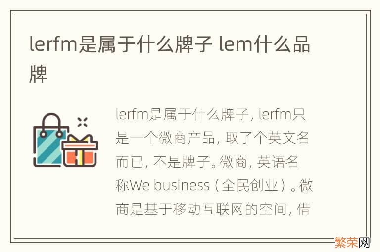 lerfm是属于什么牌子 lem什么品牌