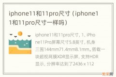 iphone11和11pro尺寸一样吗 iphone11和11pro尺寸