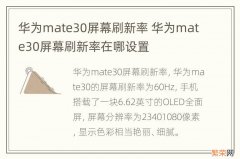 华为mate30屏幕刷新率 华为mate30屏幕刷新率在哪设置