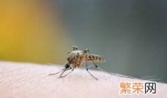 蚊子喜欢咬什么血型人 蚊子叮咬人的目的是什么