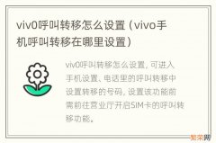 vivo手机呼叫转移在哪里设置 viv0呼叫转移怎么设置