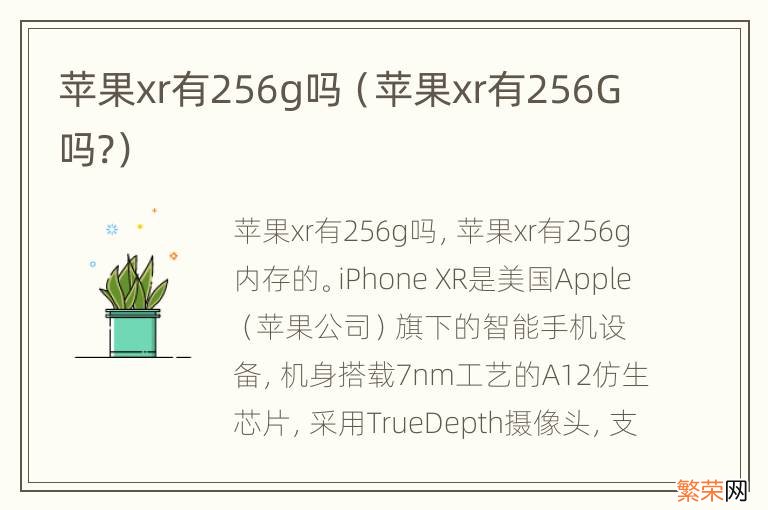 苹果xr有256G吗? 苹果xr有256g吗