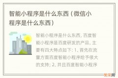 微信小程序是什么东西 智能小程序是什么东西