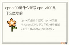 cpnal00是什么型号 cpn-al00是什么型号的