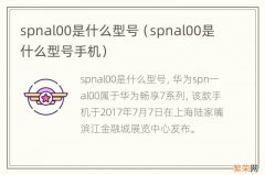 spnal00是什么型号手机 spnal00是什么型号