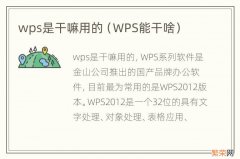 WPS能干啥 wps是干嘛用的