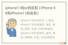 iPhone XR和iPhone11的区别 iphone11和xr的区别