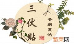 三伏贴后多久吃西瓜 三伏天介绍