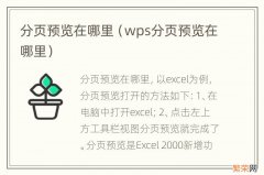 wps分页预览在哪里 分页预览在哪里