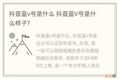 抖音蓝v号是什么 抖音蓝V号是什么样子?