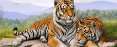 老虎的种类 中国有哪些老虎的种类