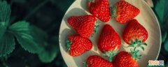 二月份有草莓摘吗 二月份可以摘草莓吗
