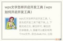 wps如何开启开发工具 wps文字怎样开启开发工具