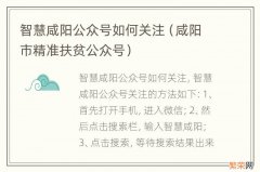 咸阳市精准扶贫公众号 智慧咸阳公众号如何关注