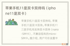 iphone11是双卡 苹果手机11是双卡双待吗