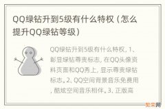 怎么提升QQ绿钻等级 QQ绿钻升到5级有什么特权