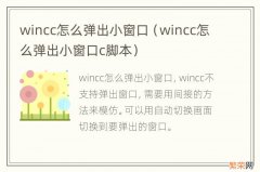 wincc怎么弹出小窗口c脚本 wincc怎么弹出小窗口