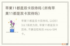 所有苹果11都是双卡双待吗 苹果11都是双卡双待吗
