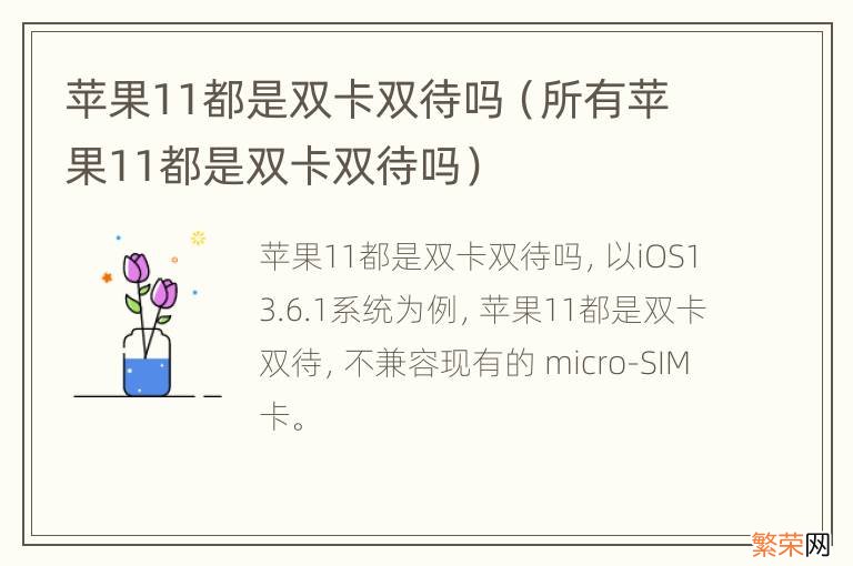 所有苹果11都是双卡双待吗 苹果11都是双卡双待吗