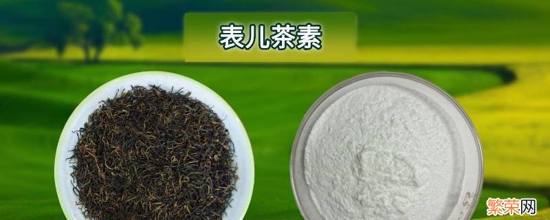 儿茶素是什么东西 儿茶素类物质