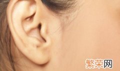 采耳的功效和作用 采耳的功效和作用是什么
