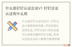 什么是钉钉认证企业V1 钉钉企业认证有什么用