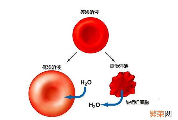 喝水太多的坏处 喝水太多有好处吗