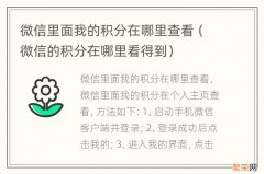 微信的积分在哪里看得到 微信里面我的积分在哪里查看