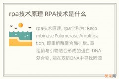 rpa技术原理 RPA技术是什么