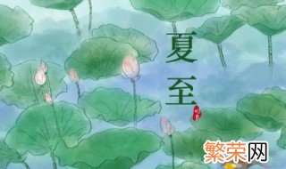 夏至后面的节气是什么 夏至节气的简介