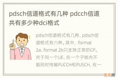 pdsch信道格式有几种 pdcch信道共有多少种dci格式