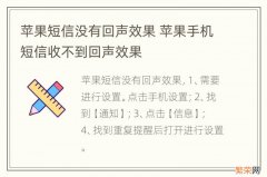 苹果短信没有回声效果 苹果手机短信收不到回声效果