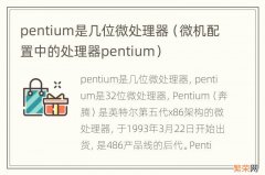 微机配置中的处理器pentium pentium是几位微处理器