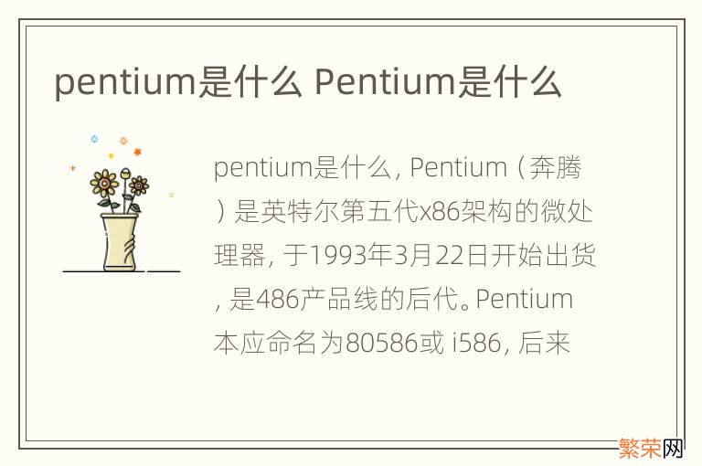 pentium是什么 Pentium是什么