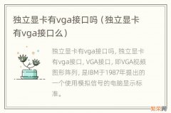 独立显卡有vga接口么 独立显卡有vga接口吗