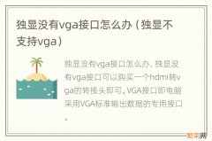 独显不支持vga 独显没有vga接口怎么办