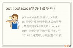 potalooa华为什么型号 pot